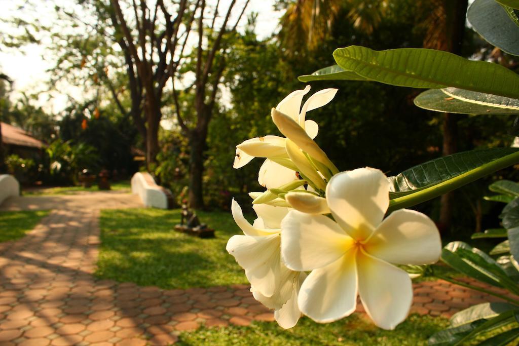Отель Secret Garden Chiangmai San Kamphaeng Экстерьер фото